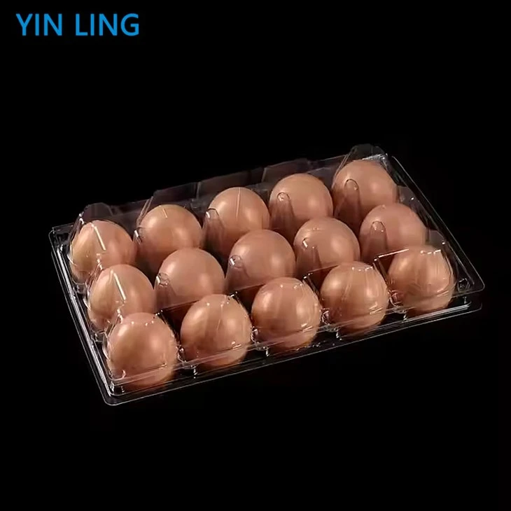  (4)
