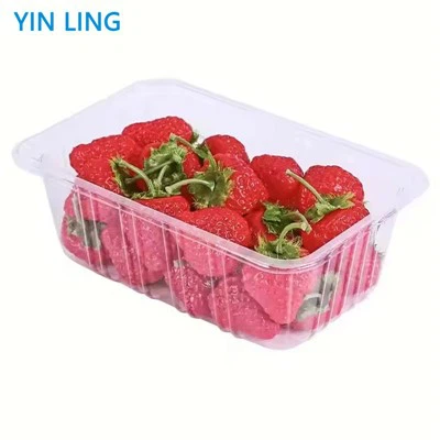 Vassoio di frutta in plastica di grado alimentare usa e getta