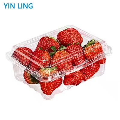 Quali forme di contenitori in plastica per frutta sono disponibili?